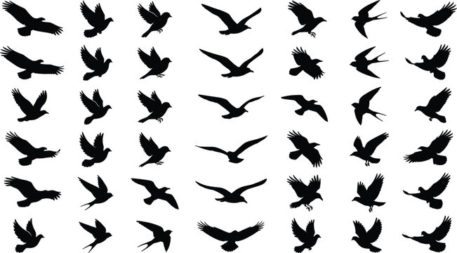 Flock of flying birds silhouettes set with pigeons seagulls swallows and crows isolated on white background