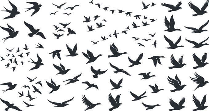 Flock of flying birds silhouettes set with wild ducks seagulls and swallows in the sky isolated on white background
