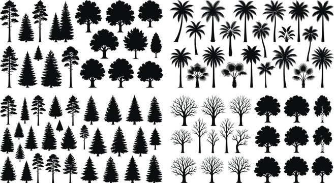 Tree silhouette collection with multiple diverse botanical designs including coniferous, deciduous, palm, and leafless forest variations