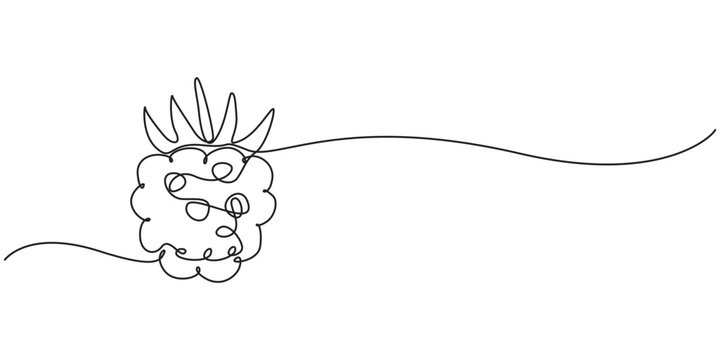 Raspberry one line drawing. Continuous outline of Raspberry fruit. Vector illustration healthy food concept, Single continuous line drawing whole healthy organic raspberry for orchard logo identity.