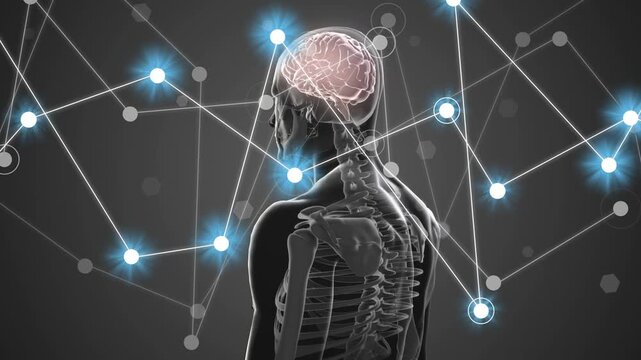 Left network launching nodes toward clear model rotating, showing neural links on brain and spine