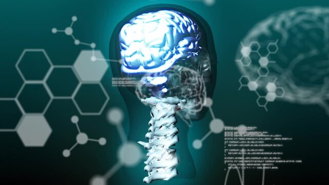 On load 3D head rotating left while brain pulsing, spine showing, overlays shifting for analysis