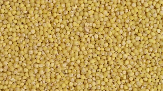 A top down, close-up shot of millet slowly spinning. Perfect for topics related to healthy eating, vegan food, agriculture and organic ingredients.