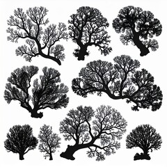 Obraz premium Collection of Diverse Silhouette Trees Against White Background Vector Illustration