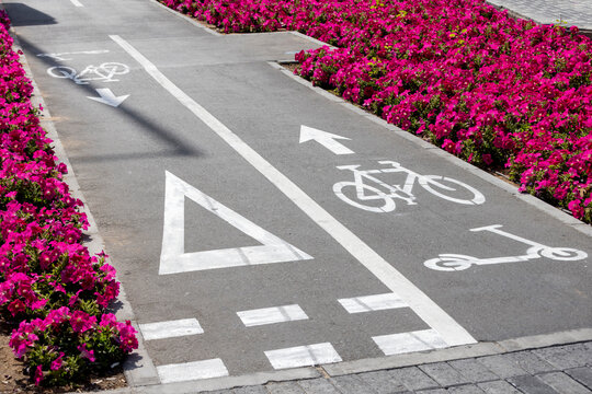 Bicycle lane in Abu Dhabi, UAE surrounded by flowers