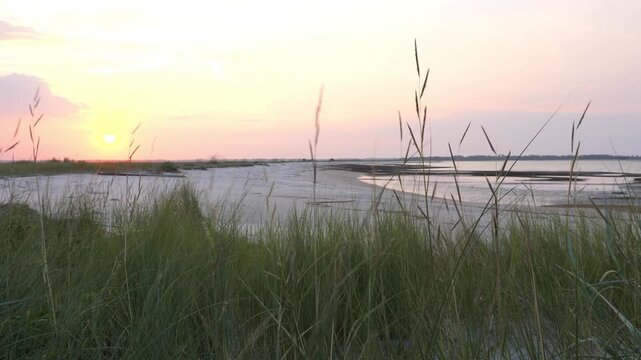 Beach grass moving in the wind in the foreground as a sunset causes a beautiful colorful sky at dusk and twilight.