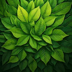 Lush green leaves radiating outward, vibrant © pradnyana