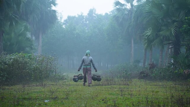 Natore, Bangladesh - 23 May 2026: View of a man carrying clay pots through a misty palm grove surrounded by lush green vegetation on a foggy morning.