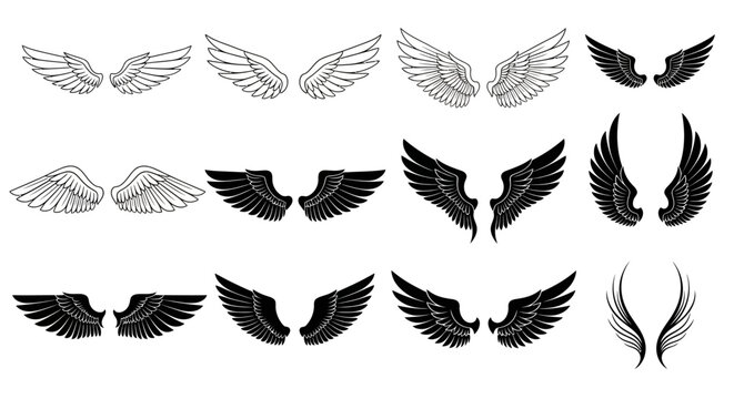 Heraldic angel wings collection, 12 pairs of black and white feathered wing silhouettes, vintage eagle and bird wing vector set for logos and tattoos