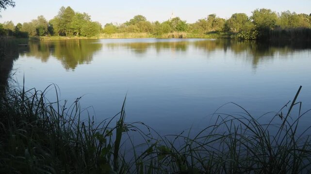 beautiful view of the lake in summer