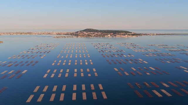 Aerial view of Bouzigues on the Thau Lagoon, in the H&eacute;rault department, Occitanie region, France