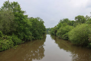 Fototapeta premium Forest-framed channel with gentle current