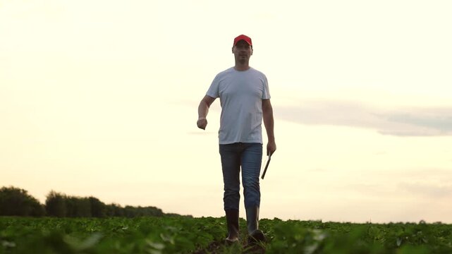 Agriculture, Agriculture meets modern technology, Farmer stands with tablet in crops, Smart farming adoption, Crop development evaluation with tech, Digital farm management solution, Farming