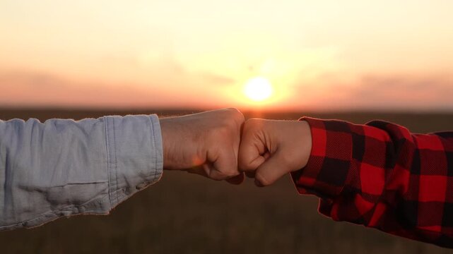 lifestyle, plant, wheat, close-up shot captures, against backdrop green field sunset, two farmers standing cornfield sunset shaking hands, negotiate, man, green, planting, silhouette, rural, talk