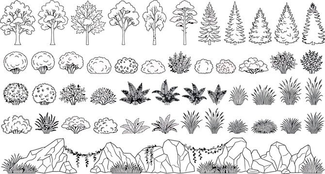Set of hand drawn trees, bushes, shrubs, ferns, grasses and rocks isolated on white background