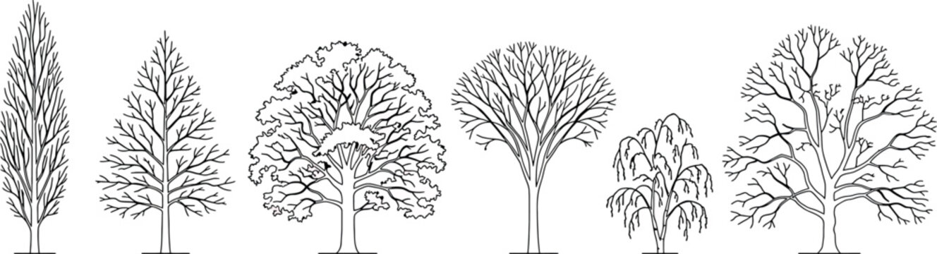 Set of six different deciduous tree silhouettes in line art style isolated on white background