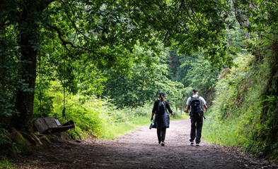 Fototapeta premium Pilgrims Walking Along Camino Portugués Through Forest Near Pontevedra, Spain