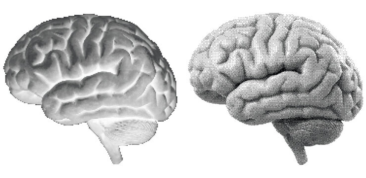 Human brain side view with vintage halftone dither pattern effect