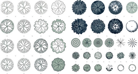Set of various tree top view symbols for architectural landscape design © SampaRani