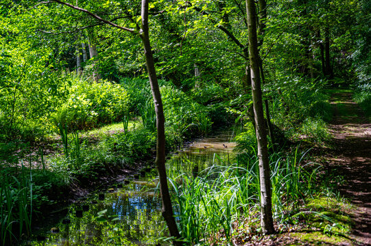 Green historic park Landgoed Overcingel in Assen