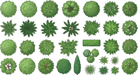 Set of various green trees and bushes top view isolated on white background © SampaRani