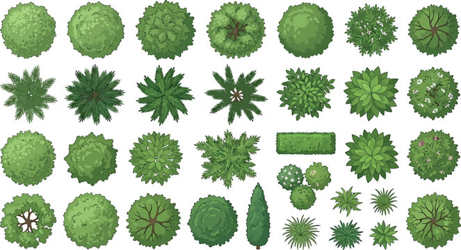 Set of various green trees and bushes top view isolated on white background