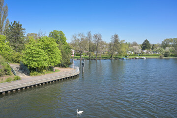Fototapeta premium Alte Spree stößt auf Müggelspree, hinten Baumgarteninsel, Köpenick, Bezirk Treptow-Köpenick, Berlin, Deutschland