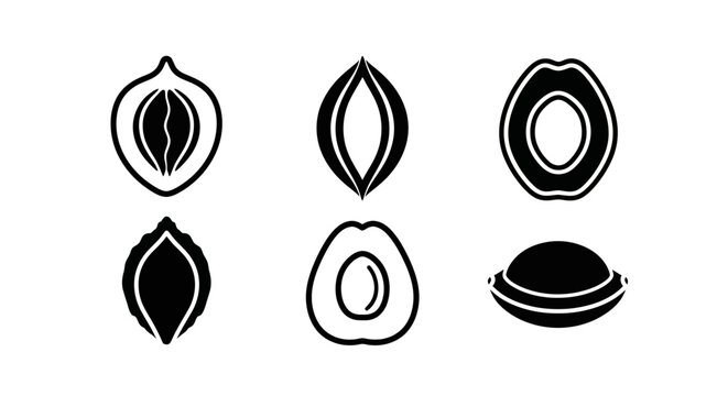 Fruit Seed Icons Set: Peach, Plum, Apricot Halves and Pits