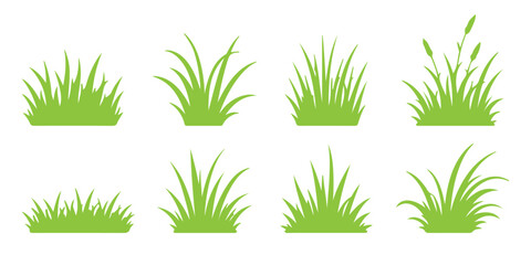 Obraz premium Black vector grass silhouette on white background. Set of black silhouette grass and plants. The silhouette of the grass set. Vector illustration. Collection of varied grass silhouettes for design use