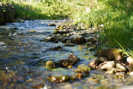 Idyllic stream bed in the Austrian Alps (Salzburg, Werfenweng)