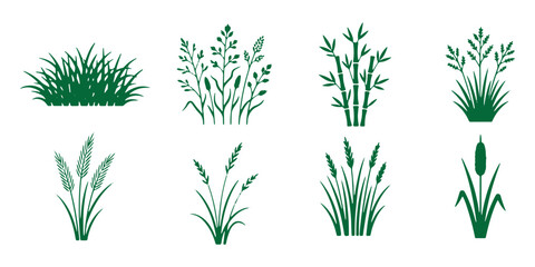 Fototapeta premium Black grass silhouettes set, 8 botanical reed and pampas grass vector icons, minimalist wild meadow plant elements for landscape design. Simple grass icon set. with outline and filled styles in green