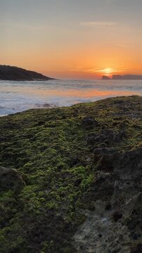 Vertical footage of ocean waves flowing around moss-covered coastal rocks during warm sunrise light. Soft white and golden water reflections create natural textures along the shoreline.