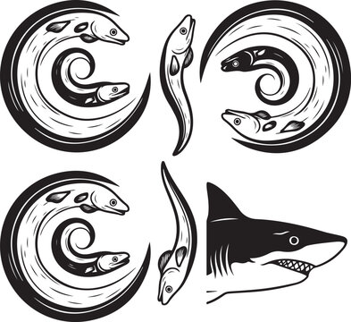 Black and white illustration of eels and a shark with swirling water patterns