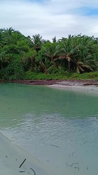 Tropical creek meeting the ocean with white sand beach, lush palm jungle, and washed-up marine debris at Radhanagar Beach, Havelock Island, Andaman.