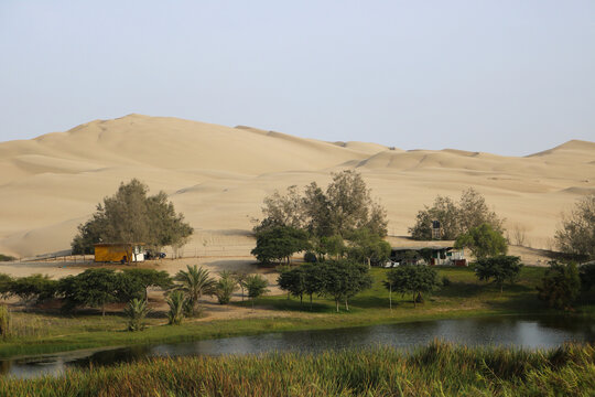 Oasis Beneath Desert Dunes