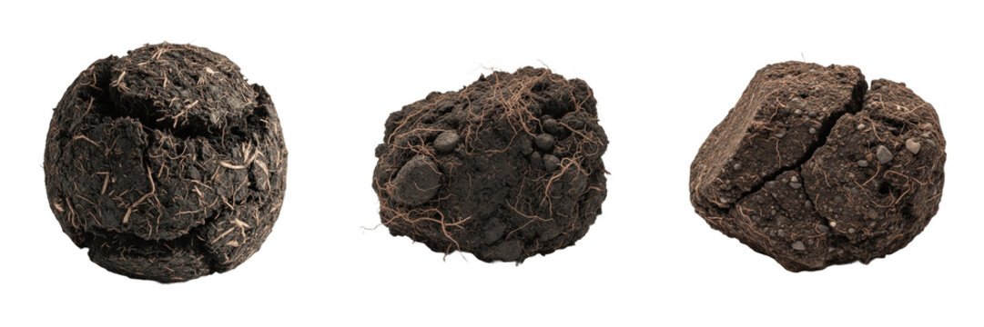 Set of Three Realistic Brown Soil Clods and Earth Lumps, Isolated Transparent Background, Organic Ground and Dirt Texture Elements for Environmental Design Projects, High-Quality PNG Stock Image Asset