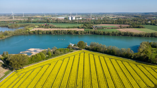 Rapsfeld im Fr&uuml;hling bis Fr&uuml;hsommer. Foto: Christian Creon / Media Creon