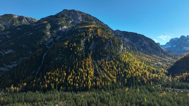 Autumn Dolomites Mountain and Yellow Larch Forest Flyout