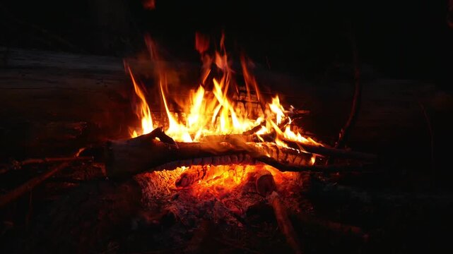 A tree branch burning with a bright orange flame in the dark. Burning coals and indomitable fire