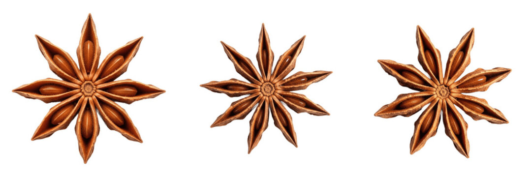 Whole Star Anise Pods PNG Elements Set, Realistic Dried Chinese Aniseed Spices Clipart, Isolated Aromatic Herb Cooking Ingredients for Culinary Recipes, Autumn Food, and Menu Graphic Design (