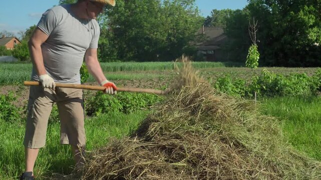 Man in straw hat uses a pitchfork to lift hay from a large pile in a sunny garden surrounded by green grass and trees