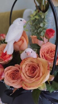 Beautiful innocent white zebra finches on flowers 
