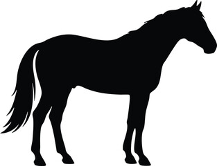 Obraz premium Majestic Horse Silhouette Vector | Running Black Horse Illustration Isolated Animal Clipart Design
