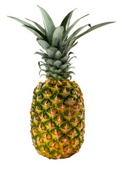 Fototapeta premium Pineapple (Ananas comosus), tropical fruit belonging to the Bromeliaceae family, isolated