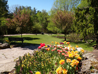 Obraz premium Spring landscape of the park