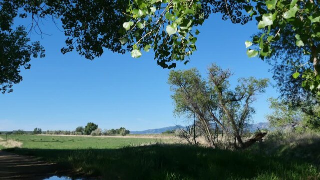 Prairie Grassland and Flatirons Mountain View from Teller Farm South Trail in Boulder Colorado 4K