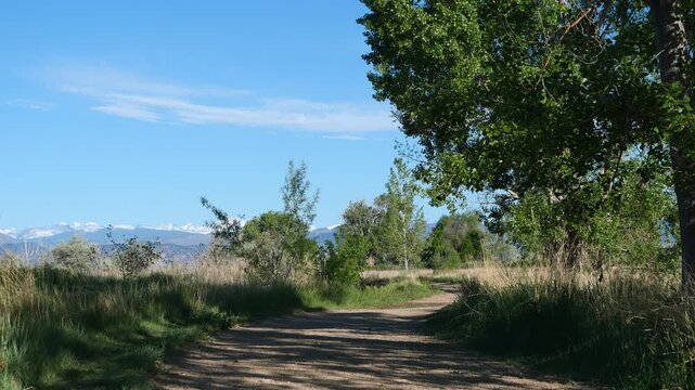 Red-winged Blackbird Calls Along Cottonwood Trail at Teller Farm South in Boulder Colorado 4K
