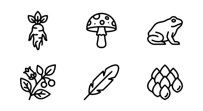 Set of alchemy and witchcraft ingredients icons, including mandrake root, mushroom, frog, belladonna, feather and crystals