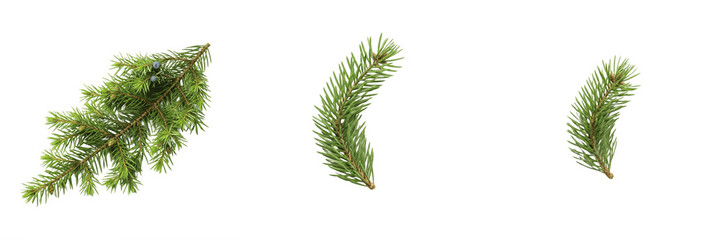 Set of Fresh Evergreen Pine and Spruce Tree Branches, Realistic Coniferous Needles, Festive Holiday Decorative Elements, Isolated High-Quality PNG Graphics for Christmas, Winter, and Nature Design Pro