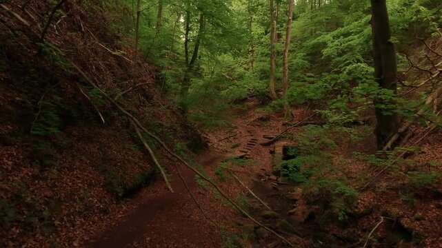 Hiking through a gorge featuring waterfalls, winding through a forest of deciduous trees, with a forest floor of soil and rocks.